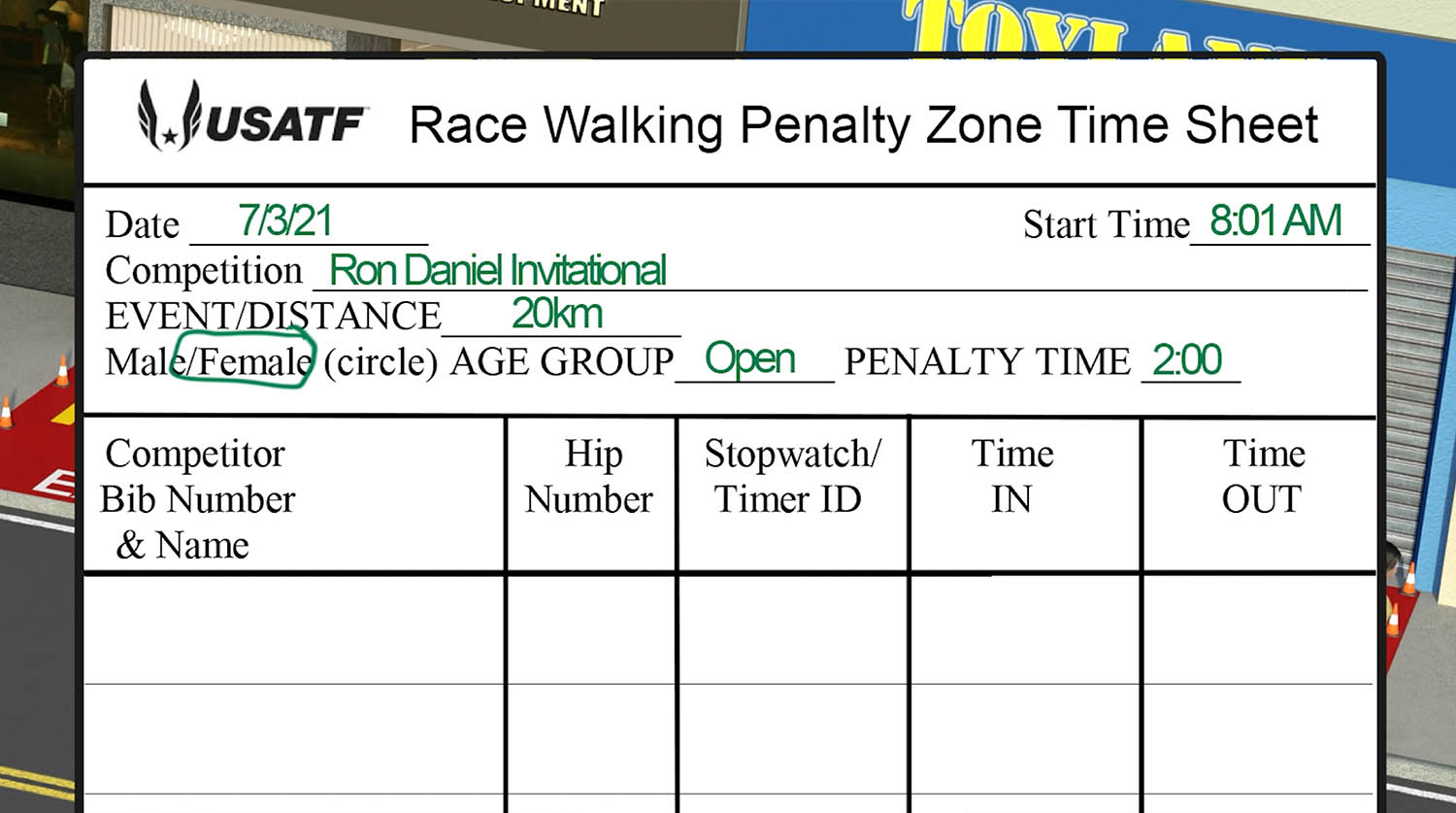 Penalty Zone Sheet - Initial Info