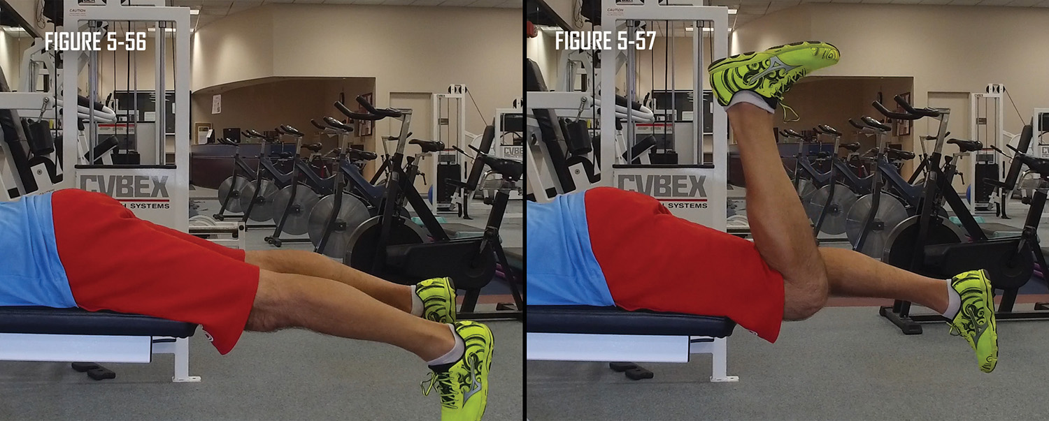 Leg Curl Without Machine