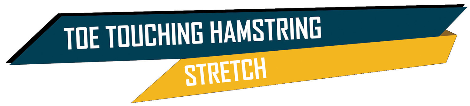 Toe Touching Hamstring Stretch