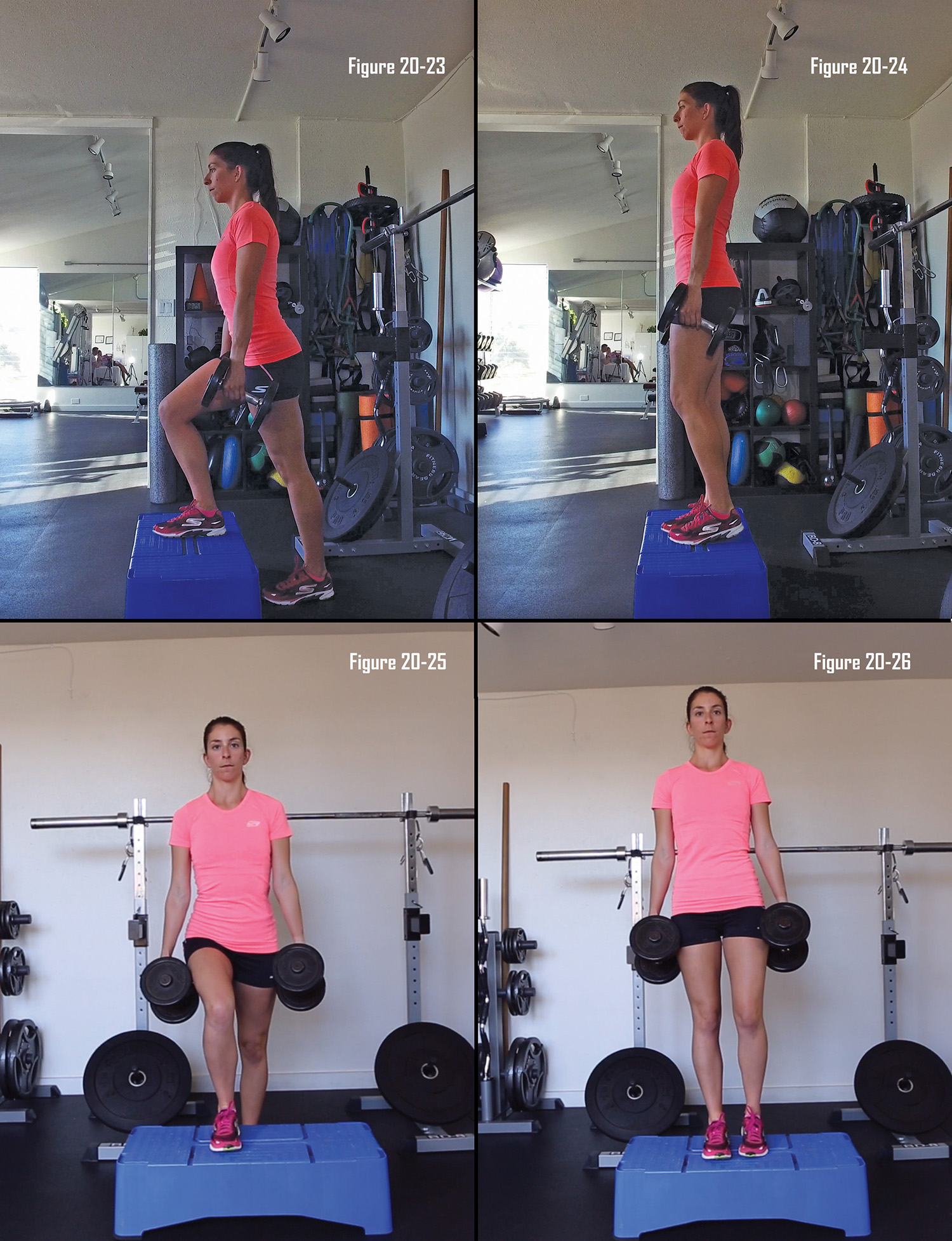 Double Dumbell Step Up Front-Full Body Strength Training Exercises to Improve Race Walking Technique